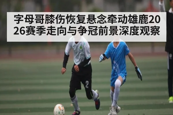 字母哥膝伤恢复悬念牵动雄鹿2026赛季走向与争冠前景深度观察